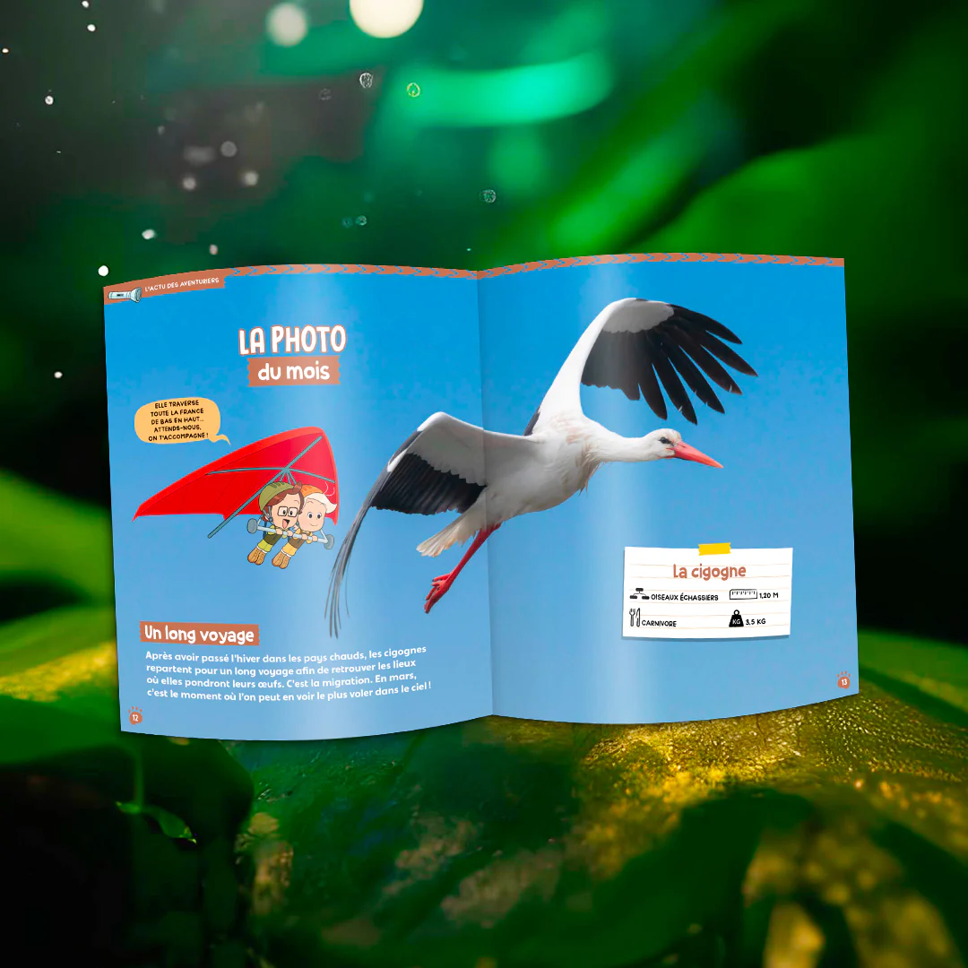 Image du produit 6